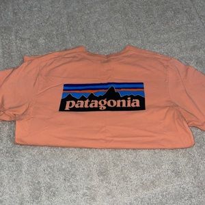 Patagonia t-shirt super soft.
